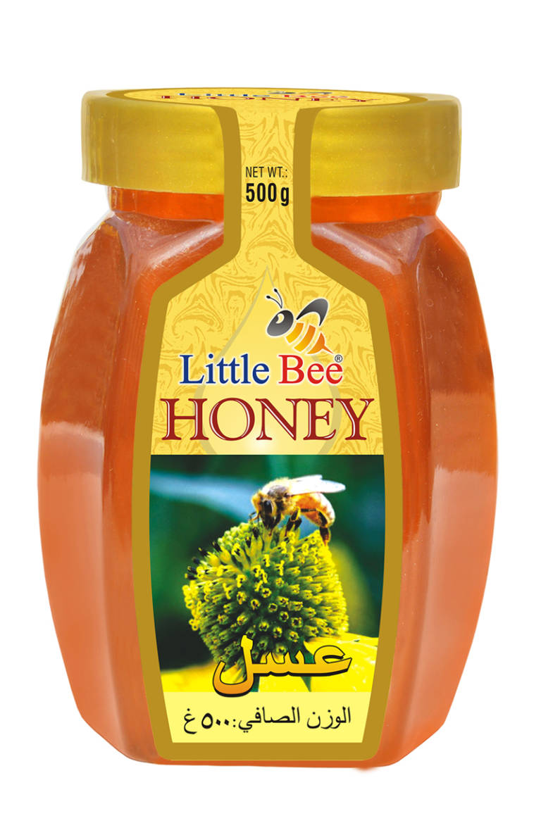 10 Best (Pure & Organic) Honey Brands to buy in India (2024)