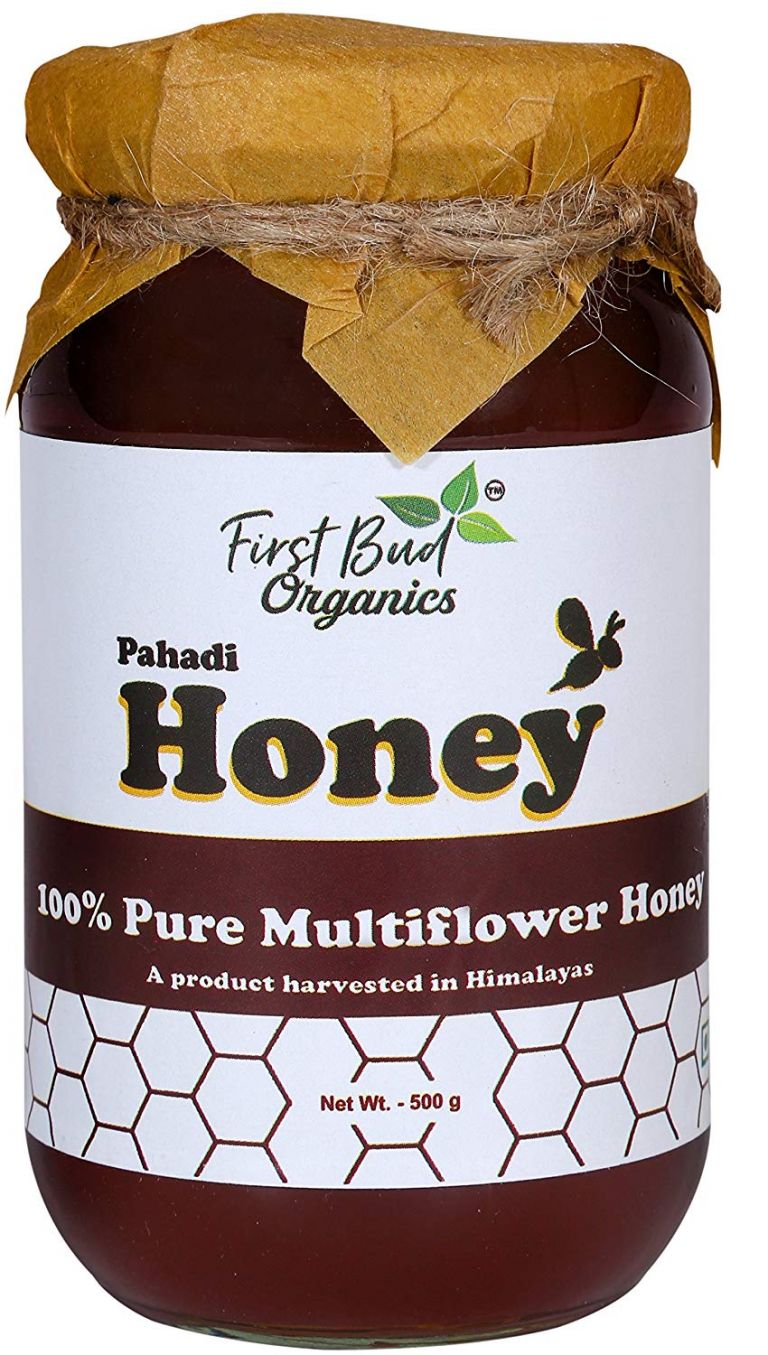 10 Best (Pure & Organic) Honey Brands to buy in India (2024)