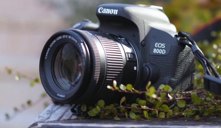 vergeven zal ik doen Gezichtsvermogen Canon EOS 800D Review, Best Lenses, Sample Images & Videos (2022)