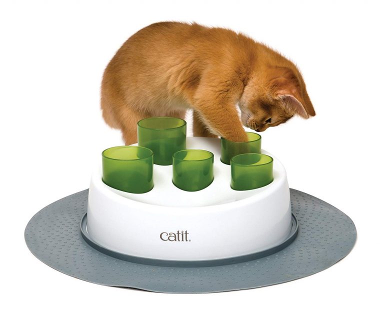 catit senses 2.0 cat digger cat toy