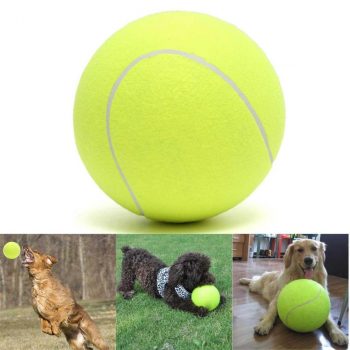 Giant Doggie Tennis Ball