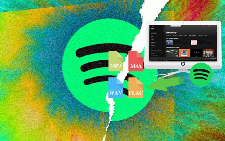 how to download music on spotify without premium on ipod 5