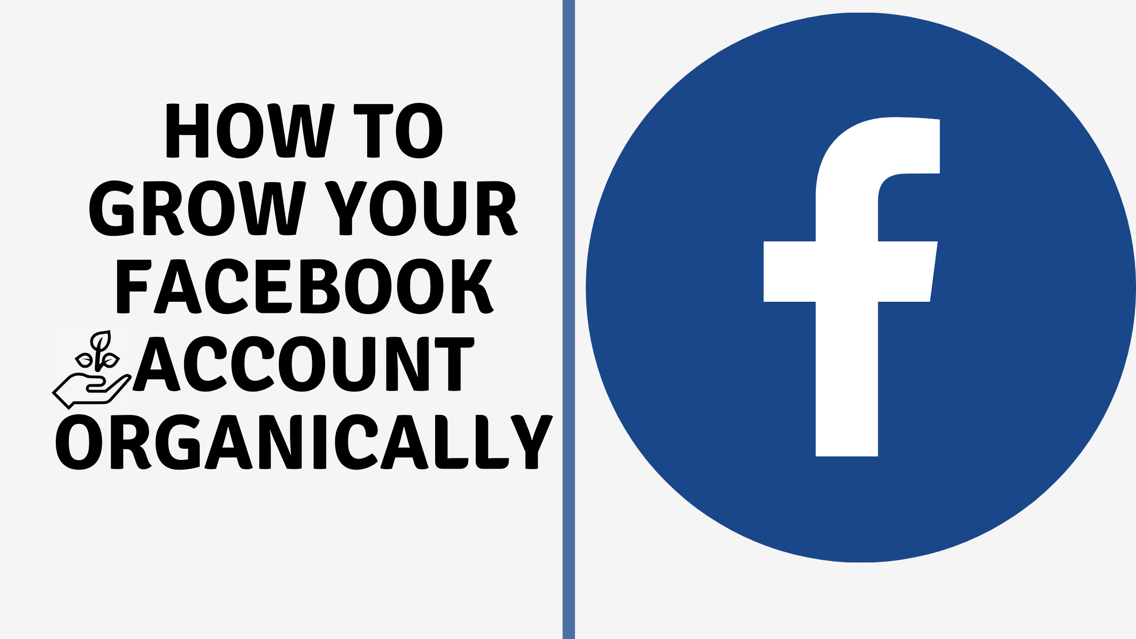 How To Grow Your Facebook Account Organically In 21
