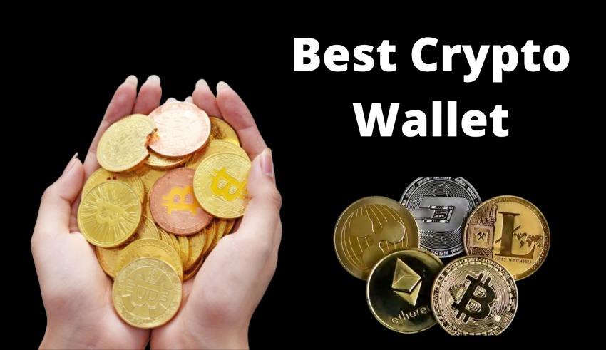 vest crypto wallet