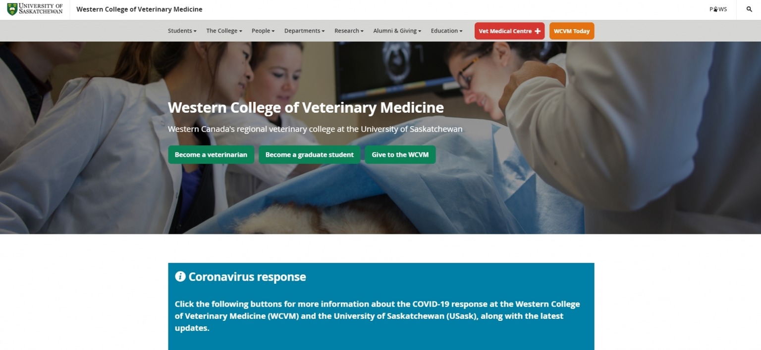 10-best-vet-schools-in-canada-for-veterinary-studies-in-2023