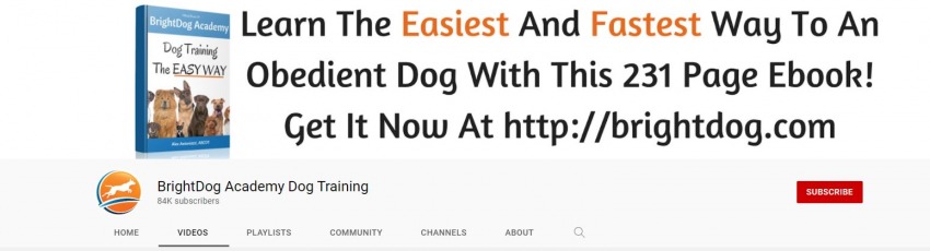 10 Best Dog Training YouTube Channels You Must See In 2024