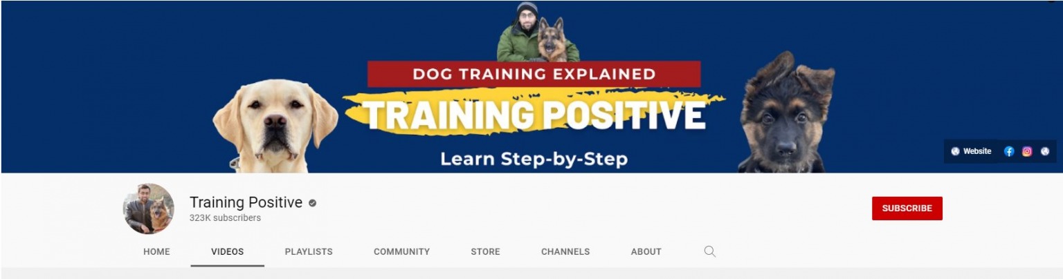 10 Best Dog Training YouTube Channels You Must See In 2024