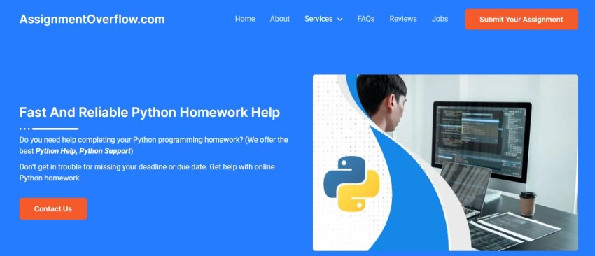 python assignment help online